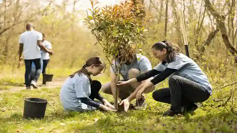 The Importance of Trees: Nature’s Lifeline for a Healthier Planet