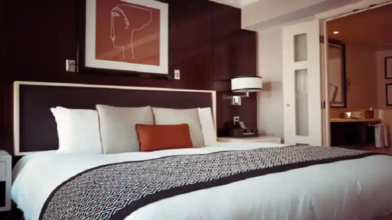 Trendy Interior Colours 2025