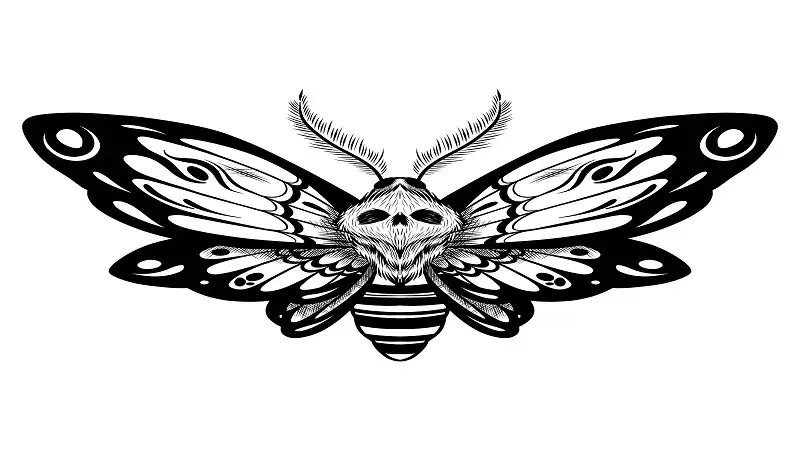 butrflyskullmama: A Complete Guide