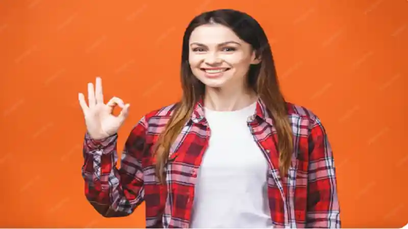 242303834: A Complete Guide